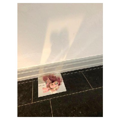2019 VERTRAUEN - Station 3: An der weißen Wand - in der Nähe des Stuhls - befindet sich eine zerrissene Plastikpuppe auf vier kleinen Spiegeln. Was löst diese Puppe in Ihnen aus?